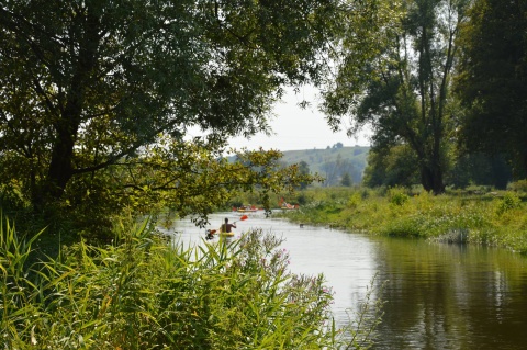 Dwa projekty i dotacje dla mieszkańców. Gmina Brzozie dba o środowisko