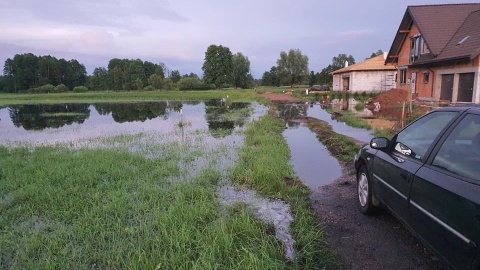 Jak nie susza, to inne zmory Kto pomoże rolnikom