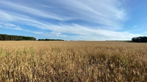 Urząd Statystyczny apeluje do rolników: spis rolny jest obowiązkowy, nie warto blokować telefonu