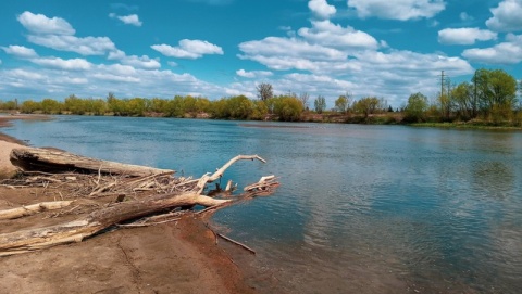 W kujawsko-pomorskim i wielkopolskim wzrasta susza hydrogeologiczna