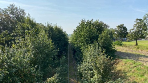 Kto ma w głowie olej, ten idzie na kolej. Rozpoczęły się konsultacje