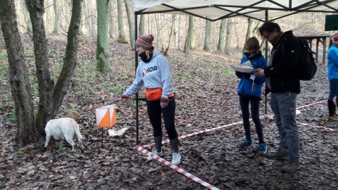 Sprawdzenie orientacji w terenie sposobem na zwiedzanie miasta Trwają zapisy na marsz