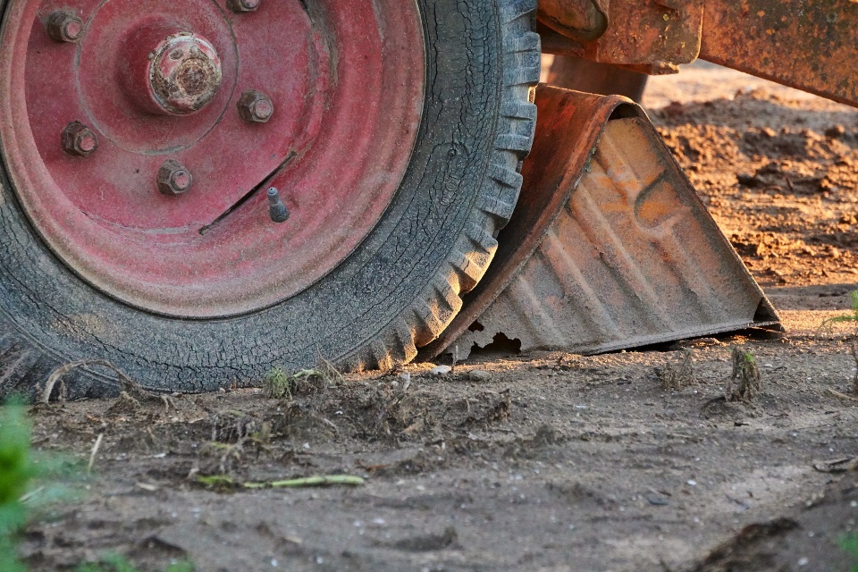 Tragiczny wypadek podczas prac rolnych. Zdjęcie lustracyjne./ fot.Pixabay