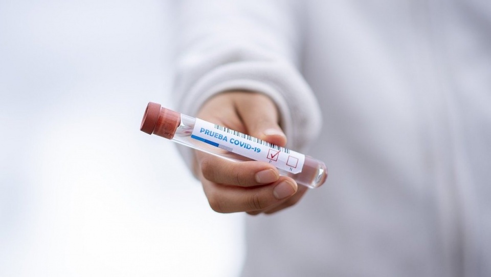 Badania laboratoryjne potwierdziły zakażenie koronawirusem u 437 osób, najwięcej w Małopolsce i na Mazowszu. Fot. Pixabay