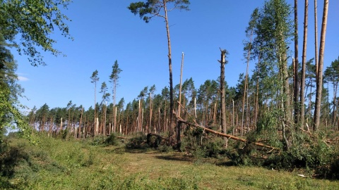 Tysiące połamanych drzew, uszkodzone budynki, zniszczone uprawy. Fot. Marcin Doliński