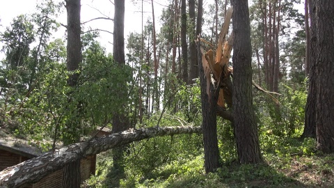 Tysiące połamanych drzew, uszkodzone budynki, zniszczone uprawy. (jw)