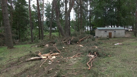 Tysiące połamanych drzew, uszkodzone budynki, zniszczone uprawy. (jw)