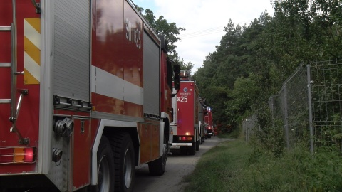Strażacy z jednostek z niemal całego województwa oraz leśnicy ćwiczyli gaszenie pożaru w Nadleśnictwie Solec Kujawski. Fot. JW