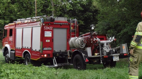 Strażacy z jednostek z niemal całego województwa oraz leśnicy ćwiczyli gaszenie pożaru w Nadleśnictwie Solec Kujawski. Fot. JW