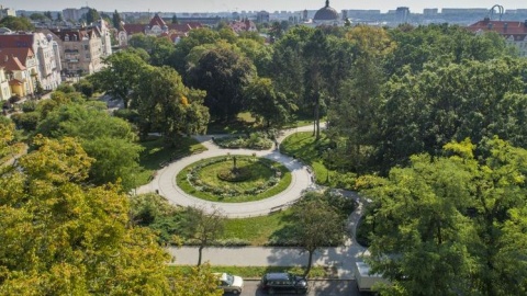 Jak zarządzać zielenią w Bydgoszczy Projekt Bez lipy