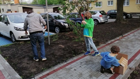 Zasiali pod blokiem łąkę kwietną. Spółdzielnia wspiera i namawia do tego innych