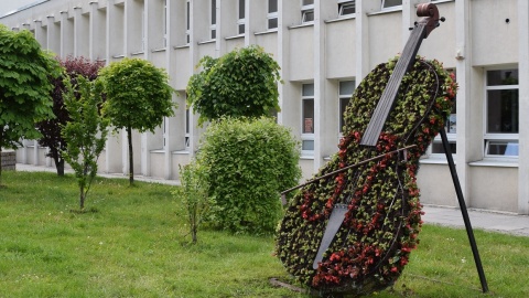 Skrzypce przed biblioteką, sowa blisko rynku. Inowrocław jest zielony [zdjęcia]