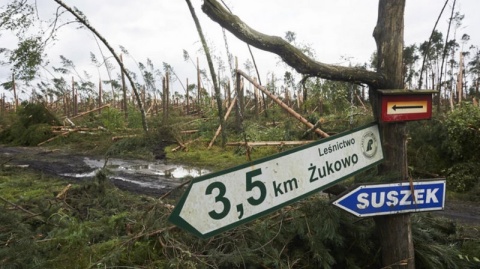 Na obozie w Suszku w 2017 roku zginęły dwie harcerki. Właśnie zapadł wyrok