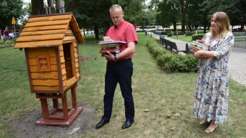 Plenerowa Biblioteczka Skrzata w Aleksandrowie Kujawskim