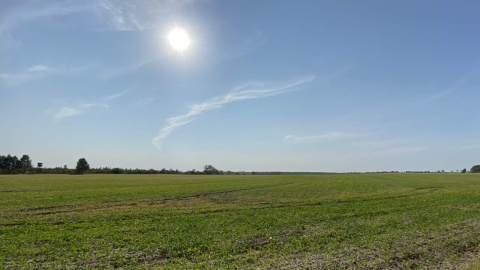 Których upraw jest więcej, a których mniej Co o rolnikach z regionu wiemy po spisie rolnym