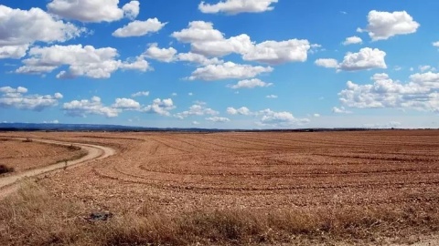 Unijne dopłaty trafiają do rolników