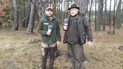 W okolicy Gródka zaczęły się badania archeologiczne. Las kryje wiele historii