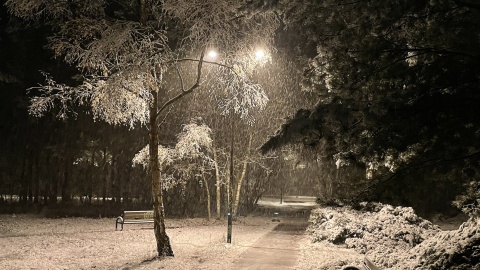 W nocy spadnie śnieg. W piątek dalej opady, także marznącego deszczu