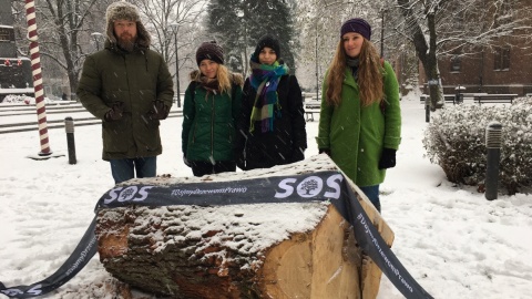 Aktywiści oznaczyli drzewa na pl. Wolności. Trzeba je ratować, bo w miastach giną