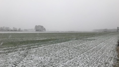 Prezes i członkowie zarządu Grupy Producentów Rolnych z Cichoradza z zarzutami