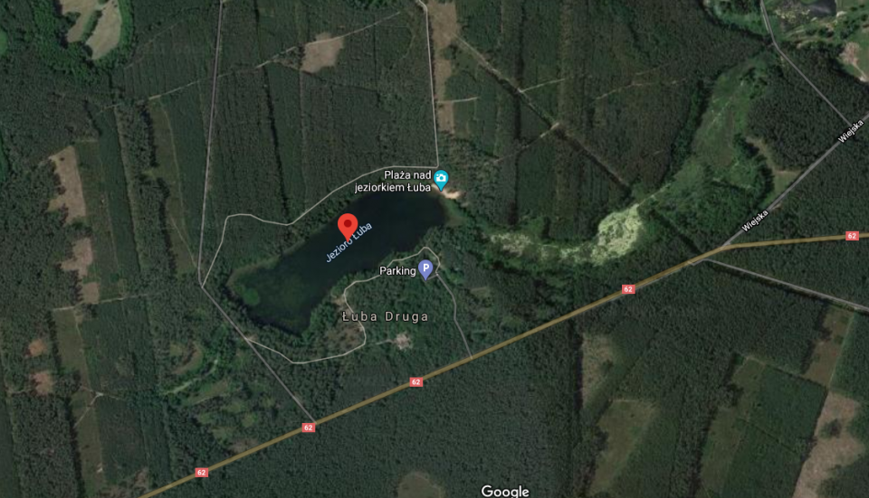 Biegaczka z Włocławka utknęła w bagnie w środku lasu. Musiała wyciągać ją policja/fot. Google Maps