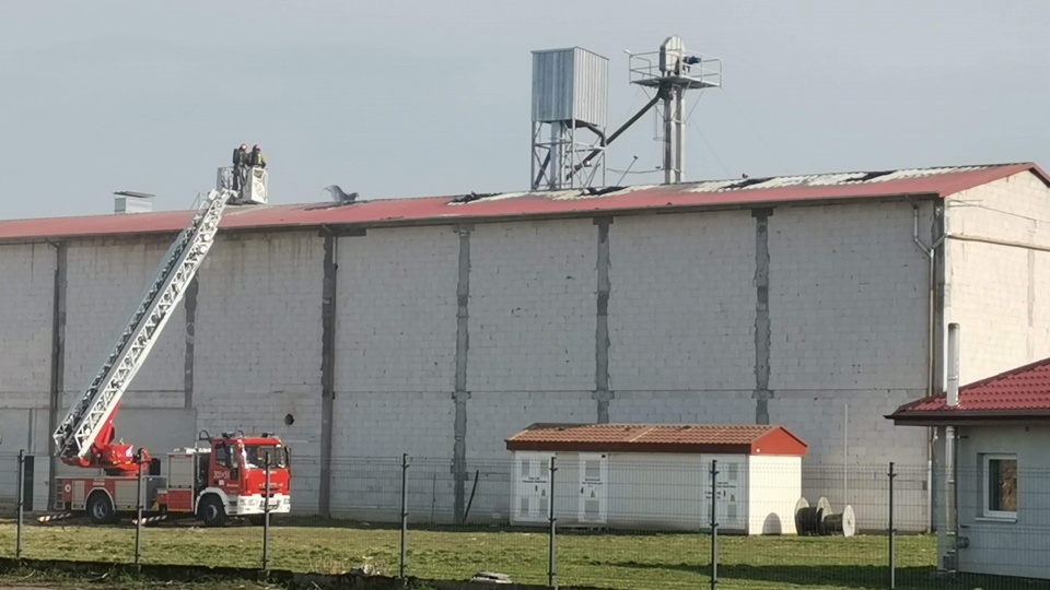 Pożar hali do produkcji peletu w Dąbrowie koło Nowej Wsi Wielkiej/fot. Bydgoszcz 998