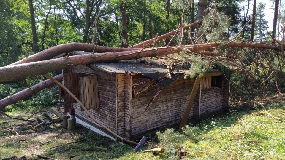Tysiące połamanych drzew, uszkodzone budynki, zniszczone uprawy. Fot. Marcin Doliński