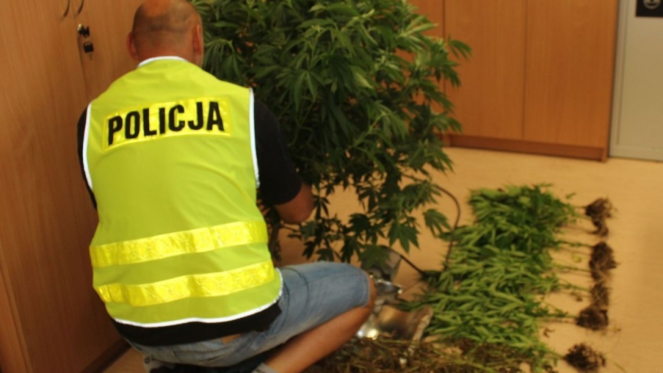 Praca policjantów z wydziału kryminalnego doprowadziła do przeszukania w domu jednego z mieszkańców gminy Tłuchowo. Fot. Policja