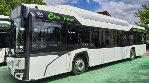 Sześć nowych autobusów elektrycznych wyjedzie na ulice Torunia/fot. Monika Kaczyńska