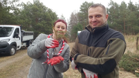 W Bydgoszczy sadzili, a w Toruniu fotografowali las. Bo las to skarb