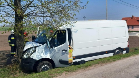 Stado dzików wybiegło na drogę. Chciał je ominąć i uderzył w drzewo