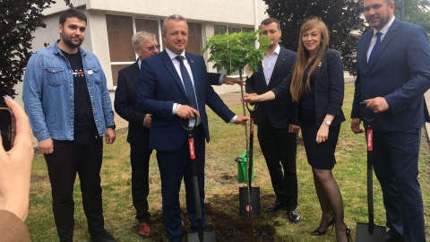 Klon przyjaźni polsko-ukraińskiej przed Urzędem Wojewódzkim w Bydgoszczy