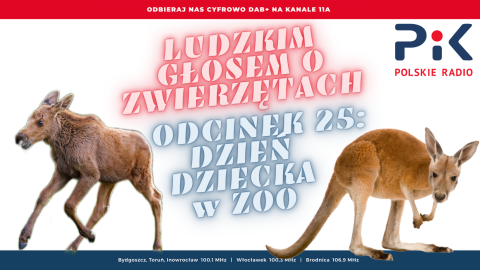 Ludzkim głosem o zwierzętach: Maluchy w ZOO