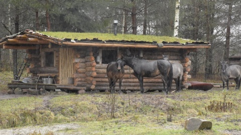 Marzenie o wyjściu na zero. Akademicki Grand PiK 2022 [posłuchaj]