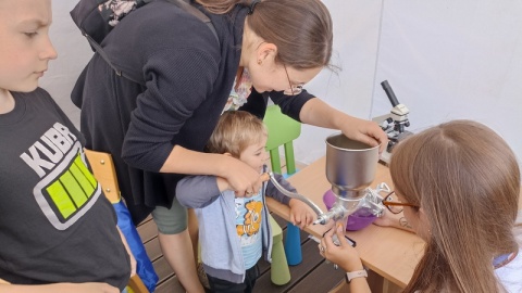 Chleb ze świerszczy Kotlety z huby Na tym pikniku kubki smakowe szaleją [zdjęcia]