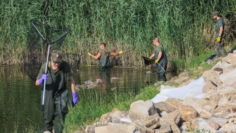 Katastrofa ekologiczna na Odrze: ponad 200 żołnierzy oczyszcza rzekę