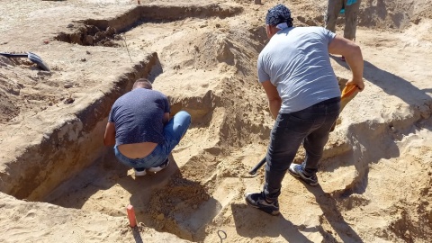 Grób antywampiryczny pod Bydgoszczą. Pochówek kobiety z sierpem i kłódką [zdjęcia, wideo]