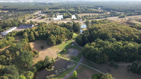 Myślęcinek jest piękny Spojrzeliśmy na bydgoski park z góry [film z drona, zdjęcia]