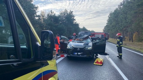 Samochód osobowy zderzył się z łosiem. Nieszczęśliwa kolizja w Małej Nieszawce