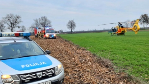 Upadający pień przygniótł mężczyznę. Wypadek przy wycince drzew