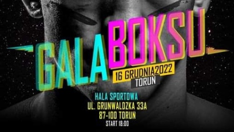 Polska zdominowała Chorwację  wyniki gali Suzuki Boxing Night 19