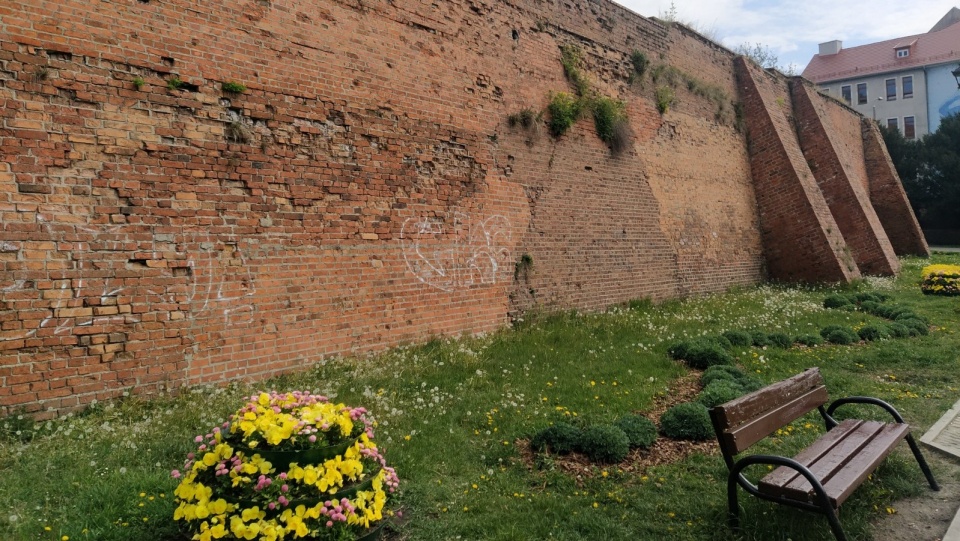 XIV-wieczne mury miejskie Grudziądza będą odnowione./fot. Marcin Doliński