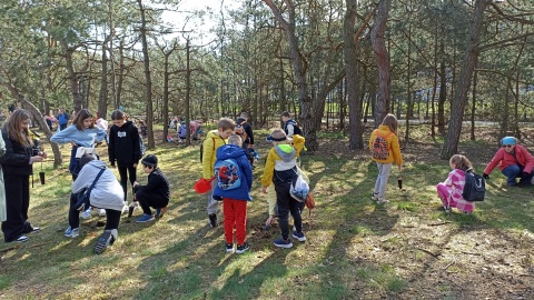 Dzieci ze Szkoły Podstawowej nr 1 w Toruniu i podopieczni Domu Dziecka „Młody Las” zasadzili około 350 drzew/Fot. i wideo: Monika Kaczyńska
