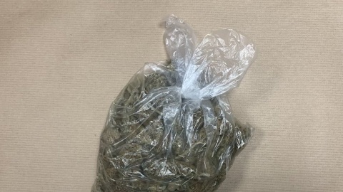 Bydgoscy policjanci zatrzymali 29-latka, u którego zabezpieczyli ponad 4,5 kilograma narkotyków/fot. materiały policji