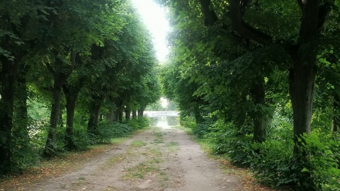 Spacer po parku w Ostromecku/fot. mg