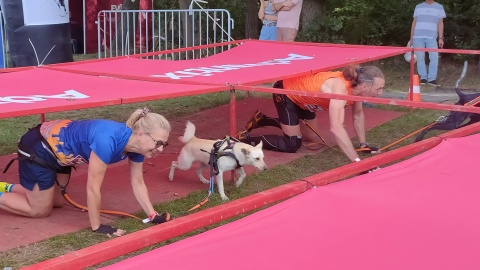 Hard Dog Race to biegi przełajowe dla psów i ich opiekunów. Sportowa akcja ma zwrócić uwagę na zachowanie ludzi względem zwierząt/fot: Witold Orcholski