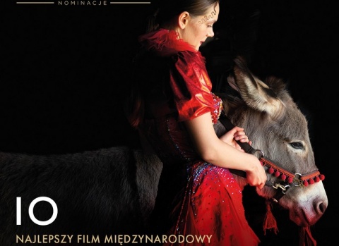 Film Skolimowskiego pod tytułem IO z szansą na Oscara. W roli głównej osiołek