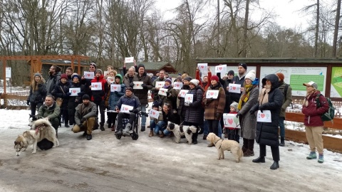 Kochają drzewa i nie zgadzają się na ich wycinkę. Protest na toruńskiej Barbarce