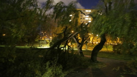 Wieczorem będzie wiało We wtorek ogłoszono stopień zagrożenia dla 14 powiatów