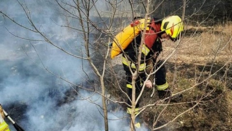 Stop pożarom traw Strażacy przypominają: wypalanie traw jest zakazane i groźne